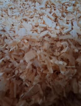 Zirben Späne - Ziegenrück Zentrum