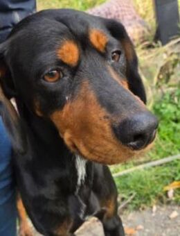 Liebe, wunderschöne Jarah - Kallmünz