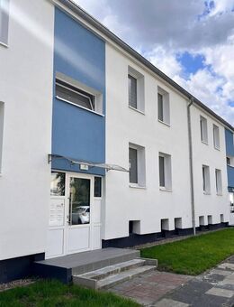 Moderne 3-Zimmer-Wohnung in Enger mit viel natürlichem Licht - Enger (Widukindstadt)