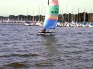 3 Std. Hobie Cat 16 segeln Steinhuder Meer - Bootsverleih Kielhorn / Steg N 21 - Neustadt (Rübenberge)