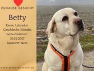 Betty sucht ein Für-immer-Zuhause - Lippetal