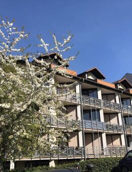 Studierende aufgepasst! Helles und schönes 1 Zimmer-Apartment mit Balkon, Nähe UKGM, Grenzborn 4, Gießen - Gießen
