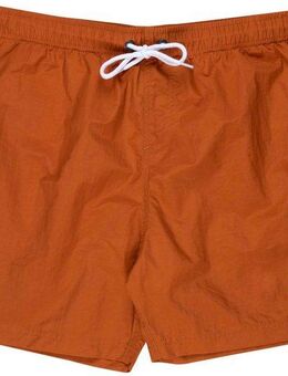 Santa Cruz Badeshorts CLASSIC DOT SWIMSHORT