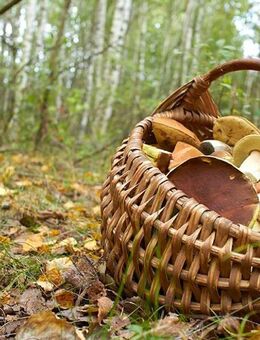 Lost Places Fans gesucht - Oelde