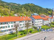 35 auf einen Streich. - Waldkirch