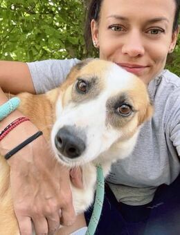 Stets liebevoll + freundlich = DARCY♥️ - München