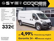 Fiat Ducato, Maxi Kasten L4H2, Jahr 2024 - Stade (Hansestadt)