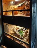 Terrarium *Neu* 60x60x100cm in 44625