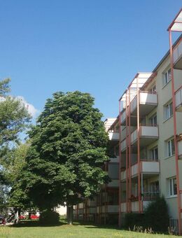 Erstbezug nach Sanierung! Schöne 2-Zimmer-Wohnung mit Dusche, Balkon und Blick ins Grüne in Cracau. - Magdeburg