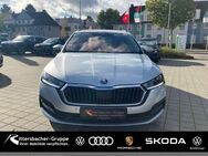 Skoda Octavia, 2.0 TDI Combi Clever beheiz WSS, Jahr 2021 - Kaiserslautern