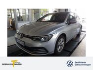 VW Golf, 1.0 TSI VIII LIFE WINTERPAKET, Jahr 2020 - Plettenberg