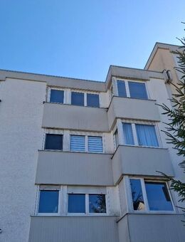 Neckarwimmersbach: Toller Ausblick über Eberbach - Eberbach