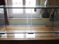 Terrarium, 100 cm, Glas, gut erhalten, gerne im Tausch mit einem 60 cm Terrarium - Fürth