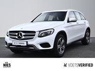 Mercedes GLC 220, d, Jahr 2015 - Braunschweig