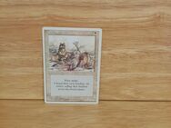 Magic The Gathering-Deckmaster. -Tundra Wolfes. - Nörvenich