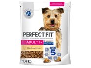 Perfect Fit Adult Hund (