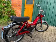 PUCH Maxi N 50 Km/h Zulassung Bj.1984 - Bramsche