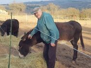 WG auf einem landwirtschaftlichen Anwesen - Sonnenberg-Winnenberg