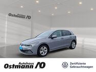 VW Golf, 2.0 TDI VIII Life KlimaA, Jahr 2020 - Bad Arolsen