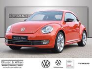 VW Beetle, 1.4 CLUB FENDER, Jahr 2016 - Norden