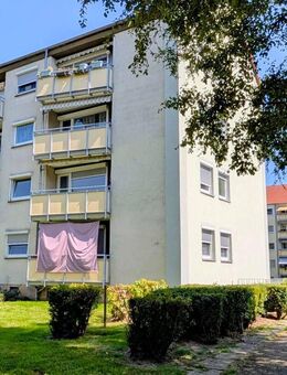 Helle 3-Zimmer-Wohnung in Seenähe - Ihr neues Zuhause in Salzgitter - Salzgitter