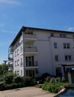 Schöne 1 Raum Wohnung mit separater Küche WE 2 - Frohburg