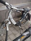 Fahrrad Tiefeinsteiger Pegasus Premio und Cinema 28 Zoll in 89250