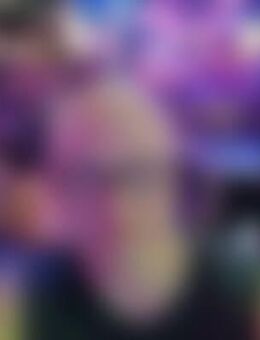 Mir*** - Bad Lauchstädt (Goethestadt)