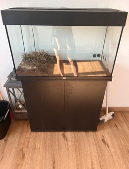 126l Aquarium mit unterschrank - Schnaittenbach