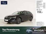 Skoda Octavia, 1.5 TSI Combi e-TEC Ambition, Jahr 2024 - Amberg