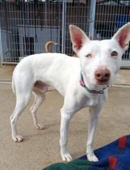 Eliott wartet voller Hoffnung - Berlin