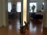 Designer Stehlampe Nr. 1 Spezialanfertigung - Ratingen