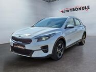 Kia XCeed, 1.6, Jahr 2020 - Grafenhausen