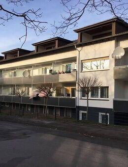 Schöne 1-Zimmer Wohnung frei zum 01.08.2025 - Bad Pyrmont
