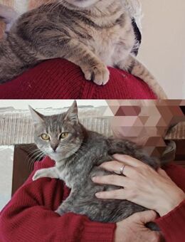 Gaia und Gizela aus dem Tierschutz - Grevenbroich