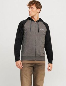 Jack & Jones Kapuzensweatjacke JJRICKY SWEAT ZIP HOOD