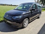 VW Caddy, 2.0 TDI Maxi GVh Basis Maxi, Jahr 2024 - Dettingen (Erms)