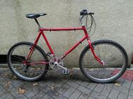 Seltener Klassiker! Kynast Vintage Herrenrad, Mountainbike, 26", Edelstahl - Nürnberg