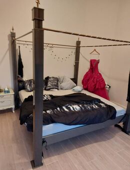 Bett, Spinder, Daisy - Preetz (Schleswig-Holstein)