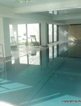 +++ AVERNET - 2 ZI. WOHNUNG MIT BALKON UND SCHWIMMBAD IN SCHLUCHSEE +++ - Schluchsee