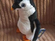 Juri Pinguin Schule der magischen Tiere Penny - Celle