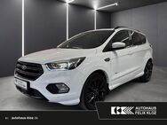 Ford Kuga, ST-Line D Ambiente, Jahr 2018 - Fellbach