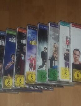 verkaufe The Big Bang Theory Staffel 1 - 9 - Rodgau Zentrum