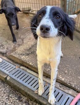 Irena wartet auf ihre Lieblingsmenschen - Schwabach