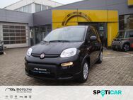 Fiat Panda, Pandina MY24, Jahr 2024 - Dessau-Roßlau