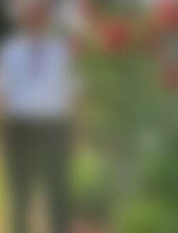 kur*** - Wiesentheid