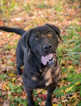 ISKA - entspannt und ruhig spielen - Overath
