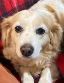 SUSHI auf Körbchensuche in 69207