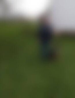 Kia*** - Billigheim-Ingenheim