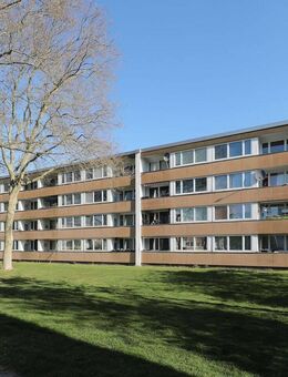 Gemütliche 3-Zimmer-Wohnung in Detmerode // 3.OG rechts - Wolfsburg